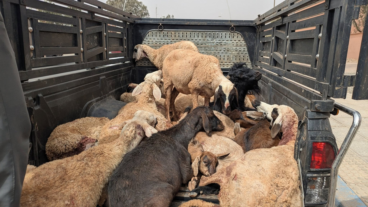 541379688-1091560569815958-3195179871113810661-n