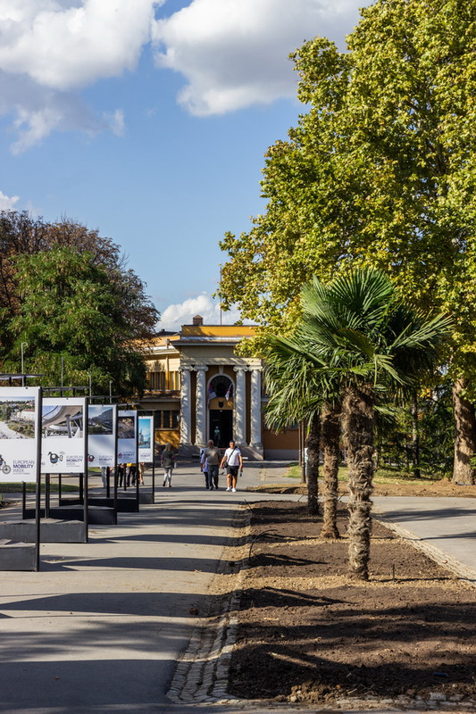 kalemegdan-palme-03.jpg