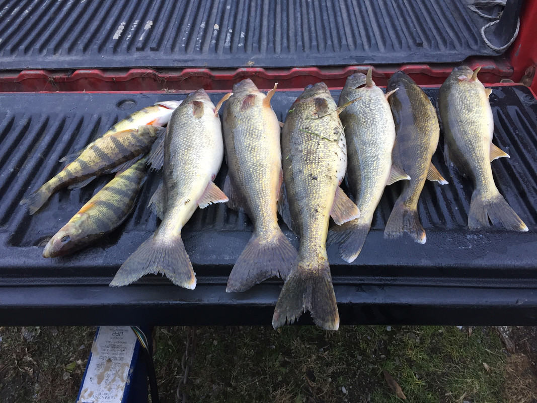 40F28E40-27BD-4160-9EE3-510890DFF1C4