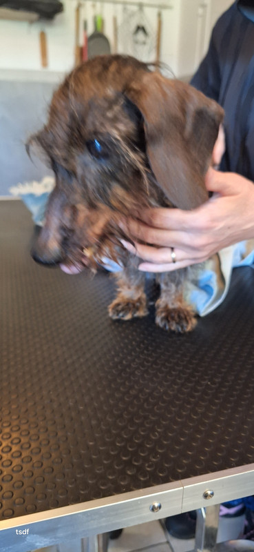 [Image: 20250305-142940.jpg]