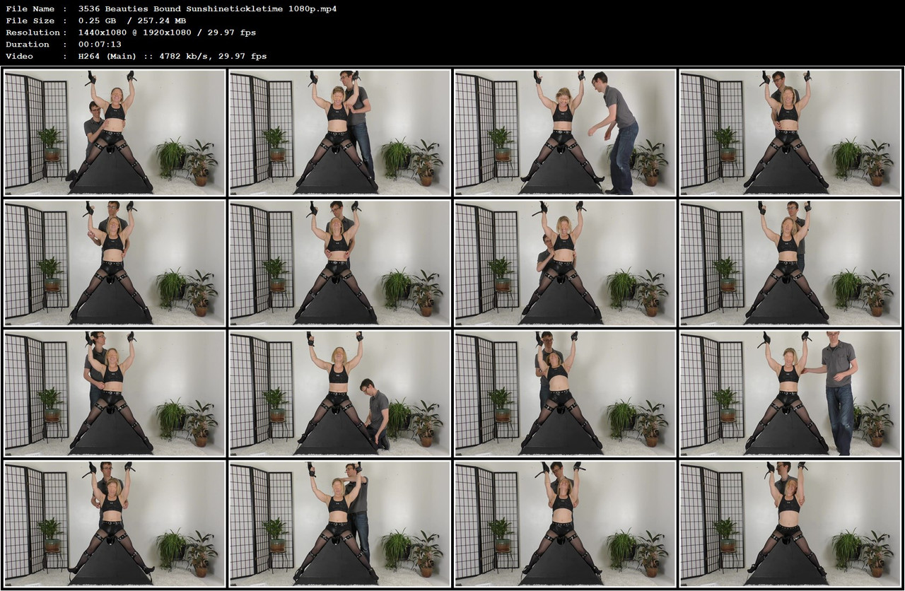 3536 Beauties Bound Sunshinetickletime 1080p mp4