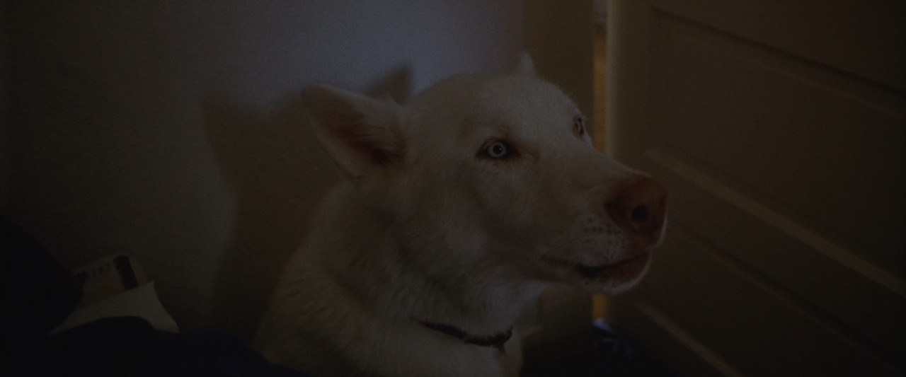 The Cell (2000) DC.mkv_snapshot_00.30.59_[2018.02.17_23.01.39]