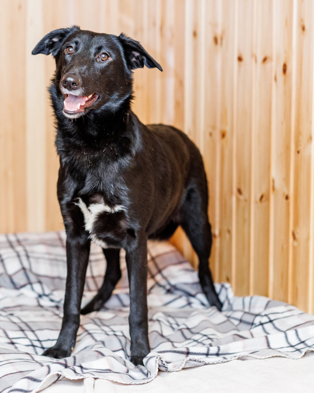 IMG-5f82004a6ba396acce977e6e859eb430-V