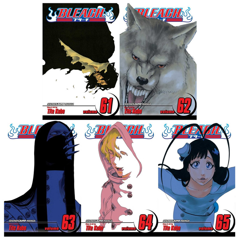 BLEACH Manga Volume 65