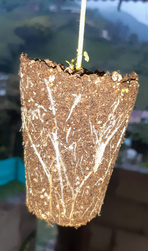 Screenshot_2023-07-31-22-15-03-815_com.google.android.apps.photos