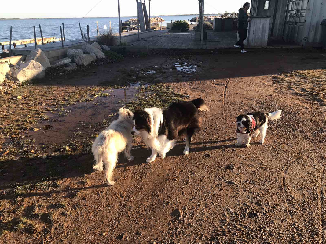 313F5DA8-EE35-43A7-BCD9-EC5D9160EFA9