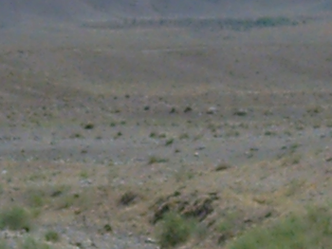 PICT0060