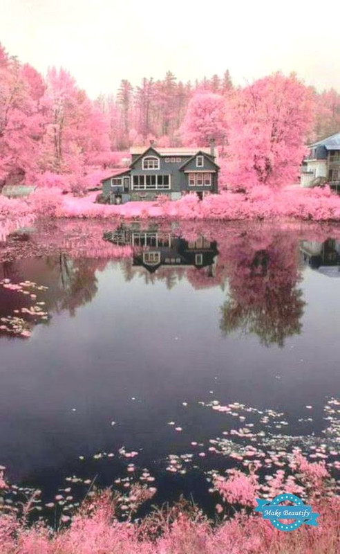 pinklakehouse.jpg