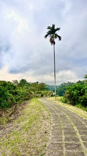 Indonesia, Singapur y Malasia 2022 - Blogs de Asia Sudeste - Día 6,7,8 y 9. Bali (15)