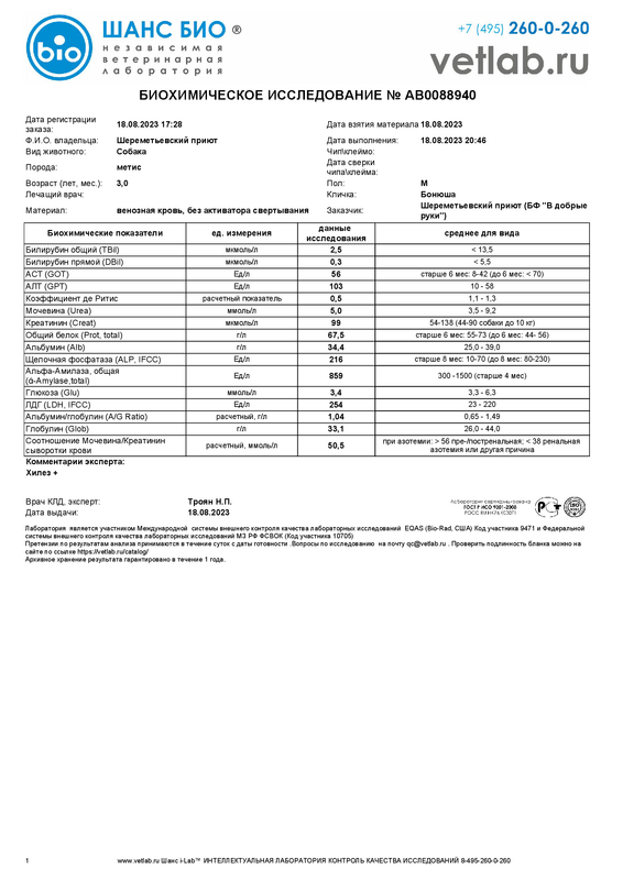 Биохимическоеисследование_Шереметьевский приют_AB0088940