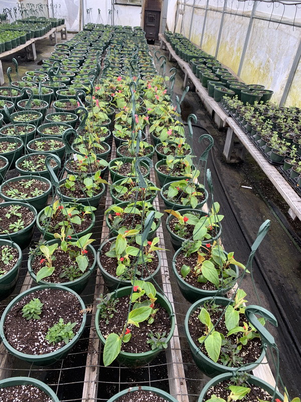 E0A619E0-2EFB-467E-BC15-1E4F2BB0D696