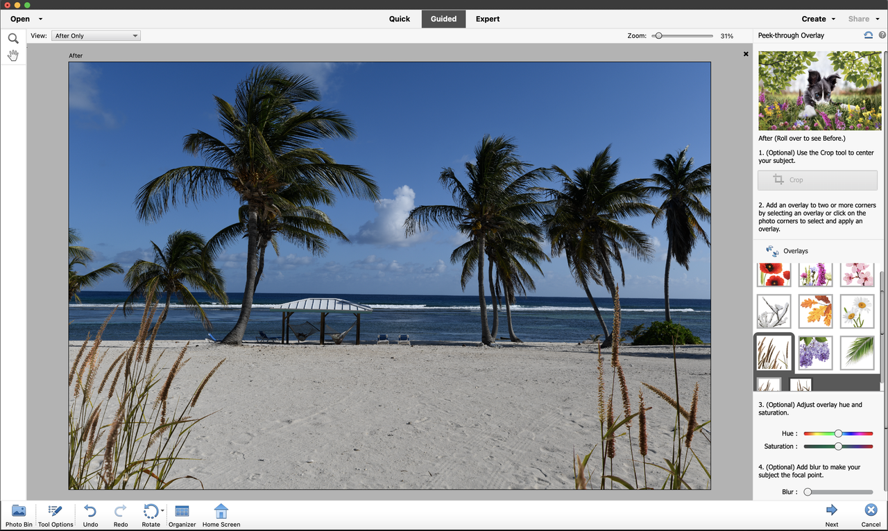 Adobe Photoshop Elements Pre-activated (Español) 2