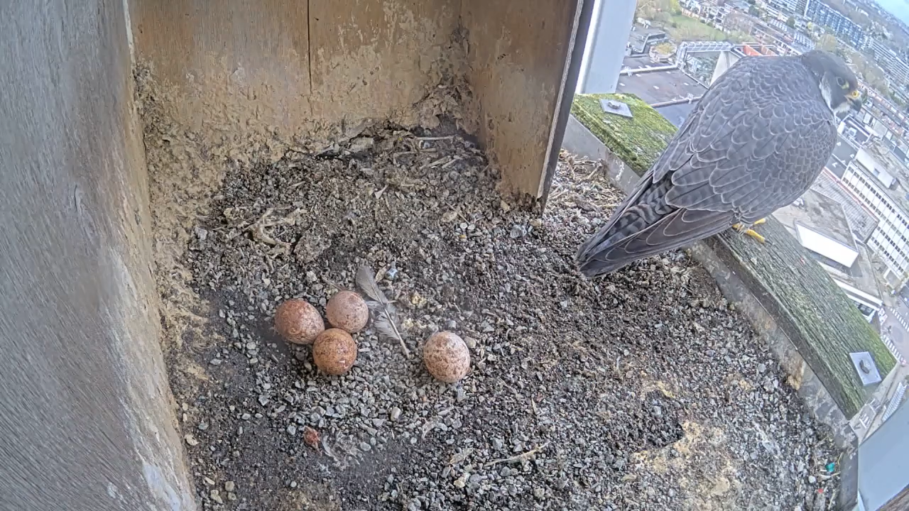 Schermafbeelding 2026 03 29 142919