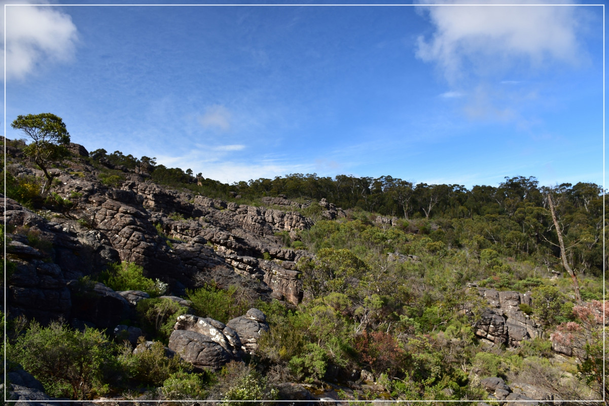 Australia (I): toma de contacto - Blogs de Australia - Grampians National Park (5)