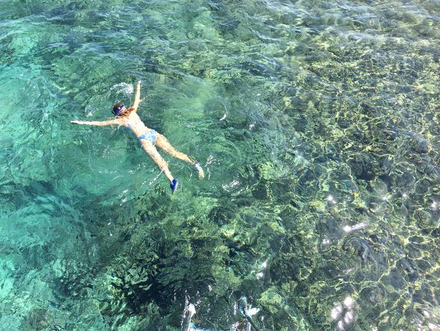 8213-EE2-A-CCFF-42-EE-83-C8-3-C23236-BDC