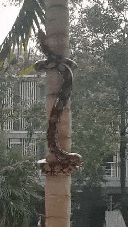 GIFs-25