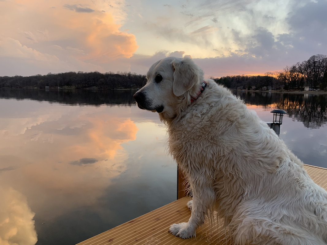 D751416C-91D3-49CD-AF99-D34FAC7E77BC