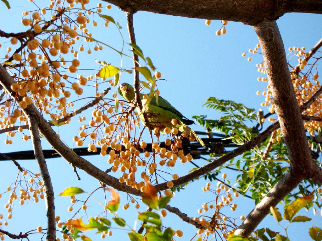 IMG_20220129_145442_245