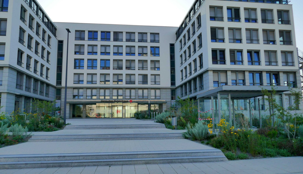 P1300098.jpg