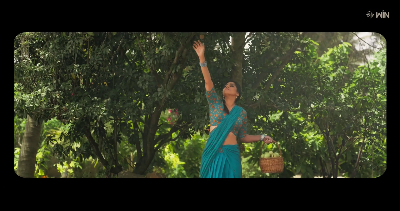 vlcsnap-2023-11-12-13h47m09s122