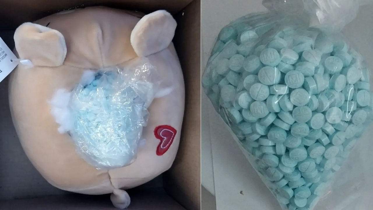 Narcos en Sinaloa ocultan mil pastillas de fentanilo en muñeco de peluche