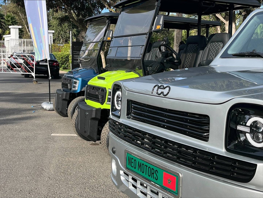 577174350-753457571056753-4393819281767249284-n