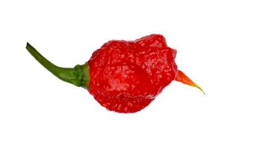7 Pot Primo