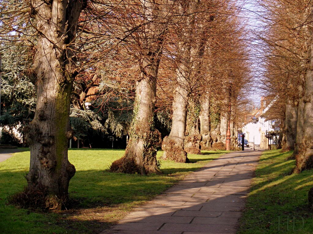 autumn-st-mary-HD.jpg