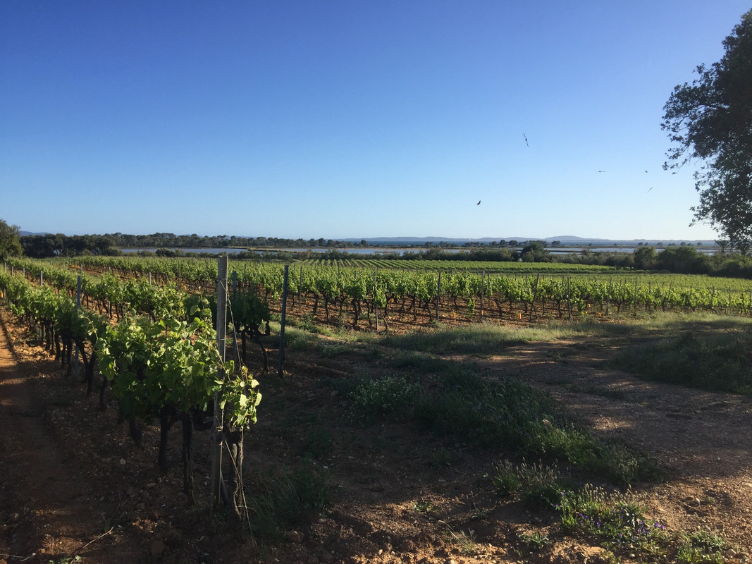 80B0F626-E815-42E4-AE3E-EF2C9F474ABE