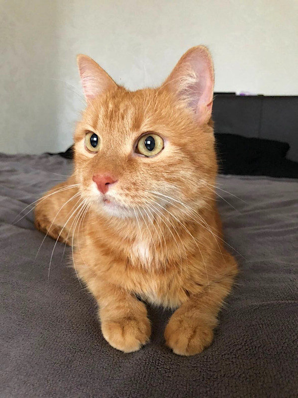 4DC81966-2893-43BD-AF9B-E06E21FE26F2