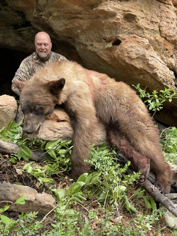 2DDE75E7-70C2-4974-A5DC-581A28AD7CD2