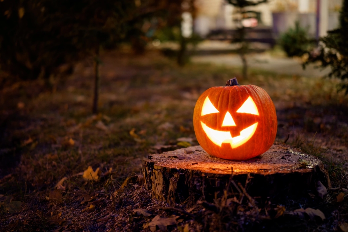 Pumpkins 0029