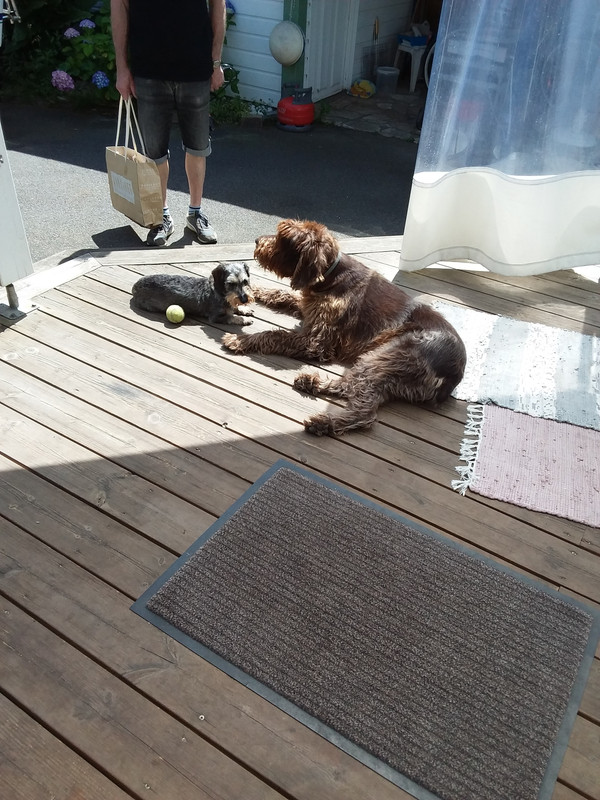 [Image: 20230611-122050.jpg]