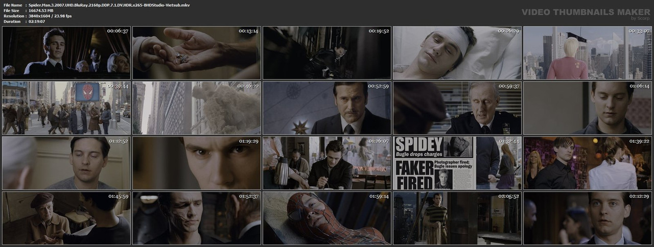 Spider-Man-3-2007-UHD-Blu-Ray-2160p-DDP-7-1-DV-HDR-x265-BHDStudio-Vietsub-mkv.jpg