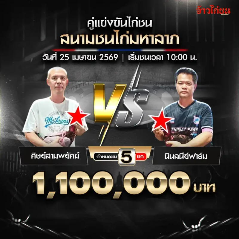 ศิษย์สามพยัคฆ์ พบ นินลนีย์ฟาร์ม โปรแกรมไก่ชน สนามชนไก่มหาลาภ วันที่ 25 เมษายน 2569