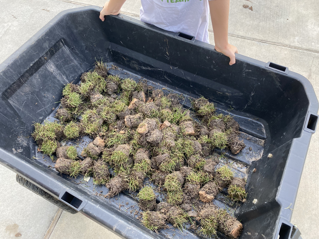 813F423E-C43F-45D7-B758-78DEF8B70FAF