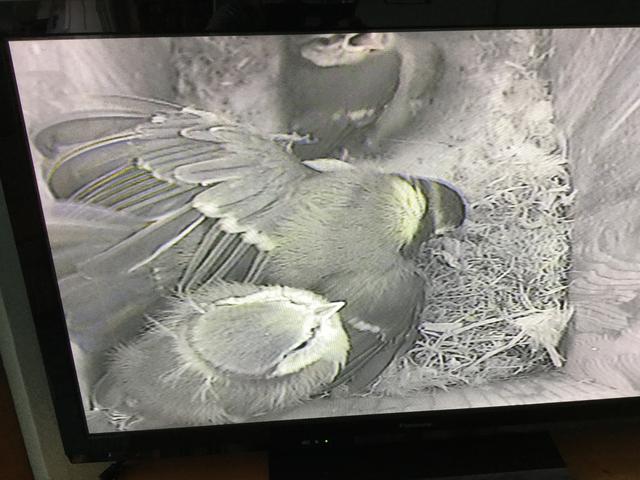 BF9448FC-2227-4B1B-8C4A-0B52AC96B774