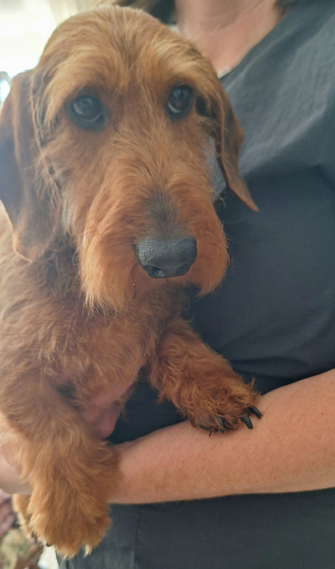 [Image: 20250603-150805.jpg]