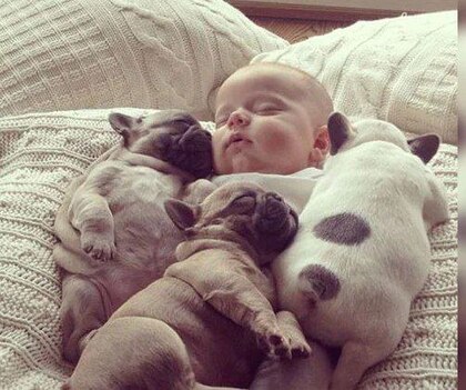 Good-Night-3-pups-baby