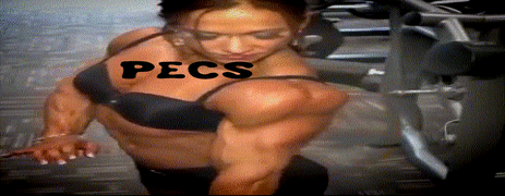 image.gif