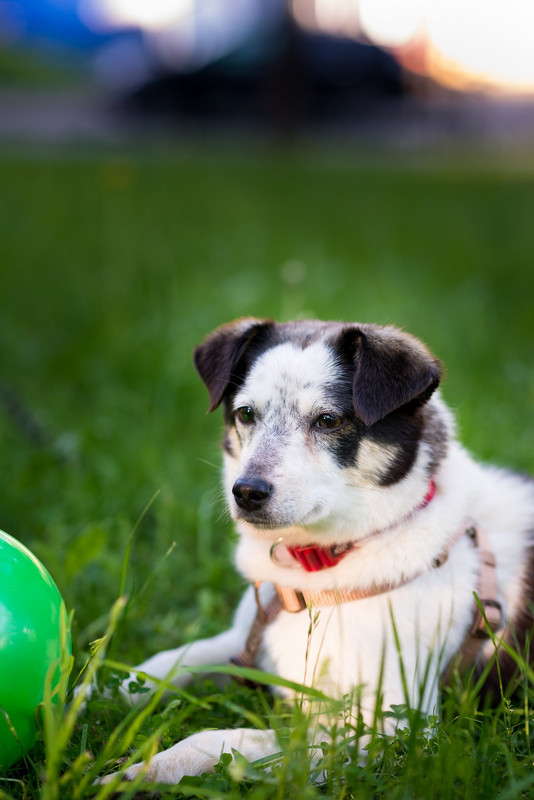 4D4E85CB-0A49-4876-943F-AA286F246F64