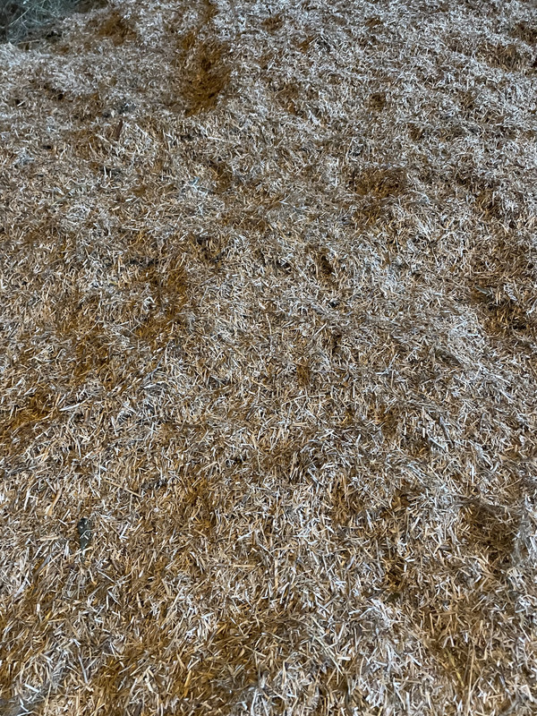 2E6A4340-495B-4E4F-B3EC-81378B91CD5F