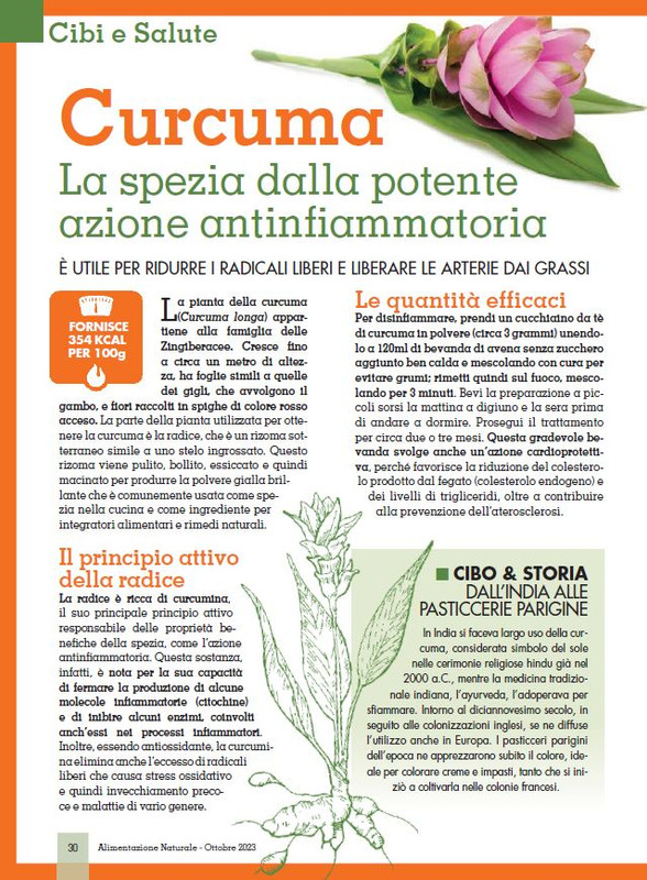 Alim Nat Ott 2023 (5)