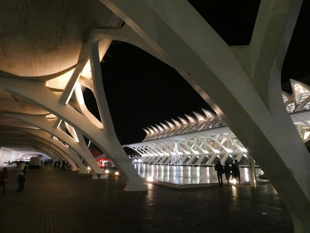 VALENCIA en un fin de semana - Blogs de España - Sábado 30/12: Llegada a Valencia y visita al Oceanogràfic (29)