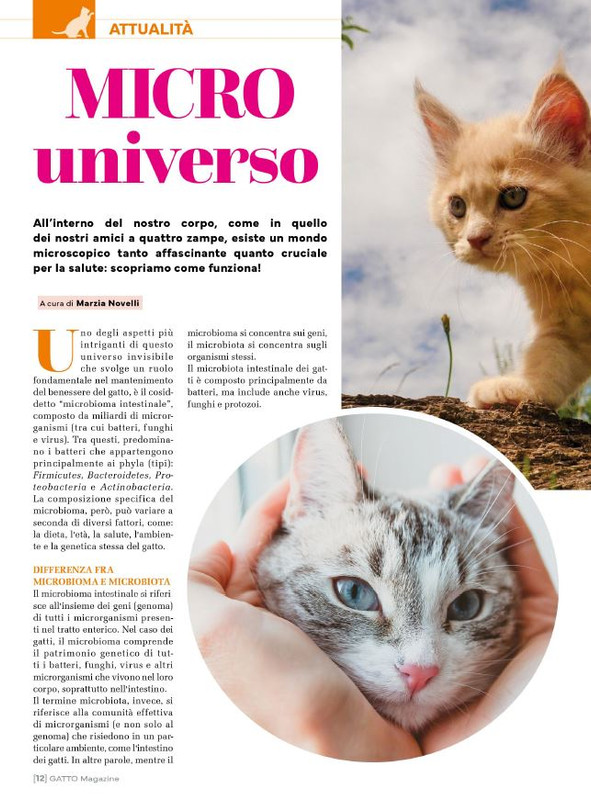 Ga Ma Ago-Set 2024 (1)