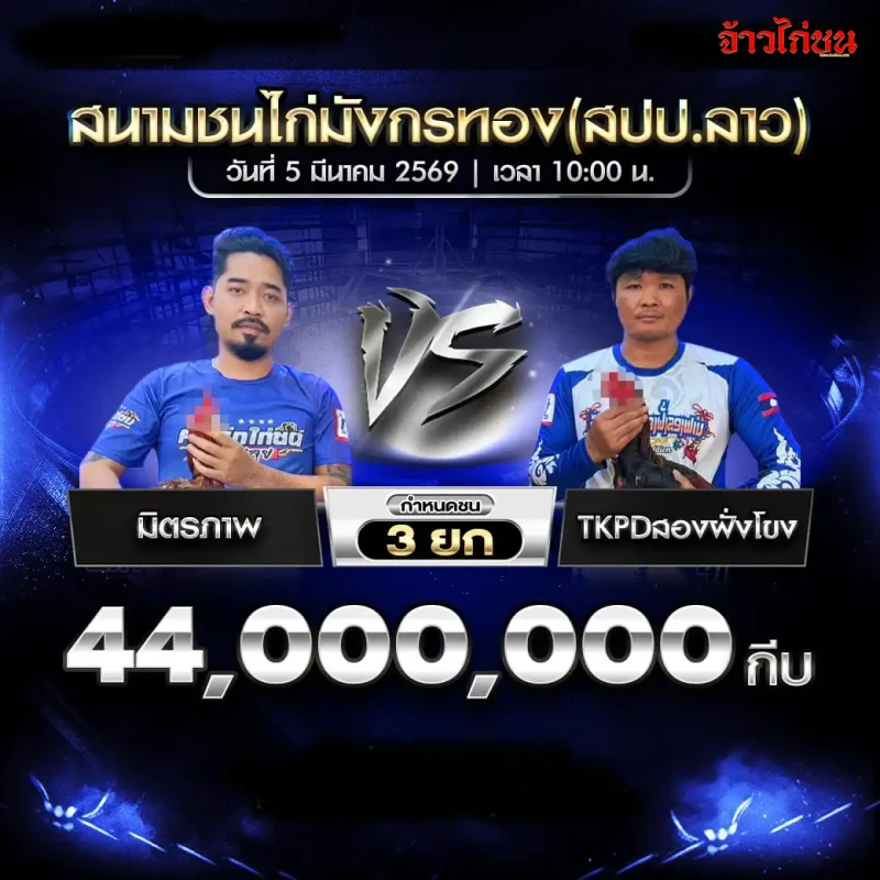 คู่ที่ 2 มิตรภาพ พบ TKPDสองฝั่งโขง โปรแกรมไก่ชน สนามชนไก่มังกรทอง 5 มีนาคม 2569