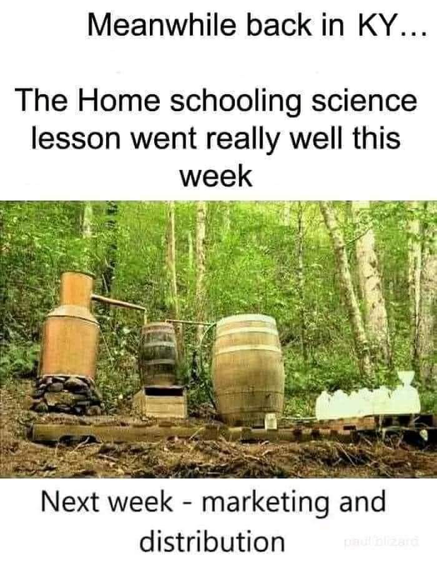 Screenshot 2026 03 19 at 00 18 48 Post a MEME Thread Page 5655 Yellow Bullet Forums