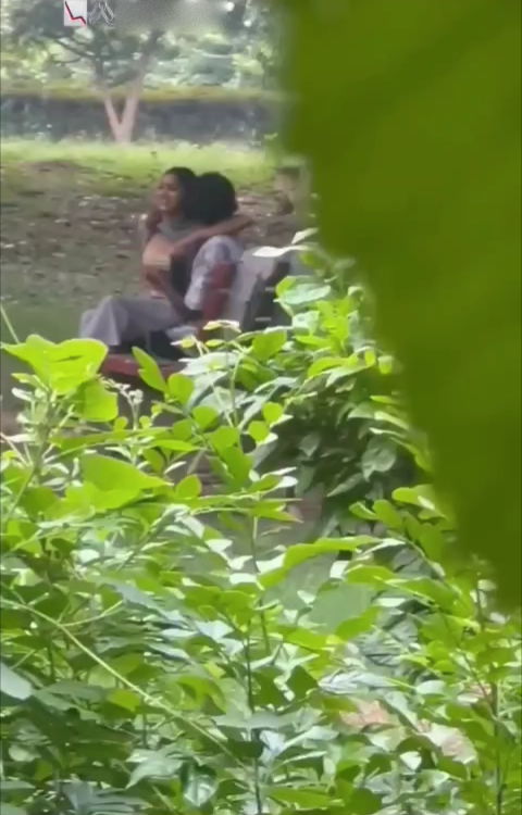 College Couple Sex in Park Viral Video College Couple Sex in Park Viral Video