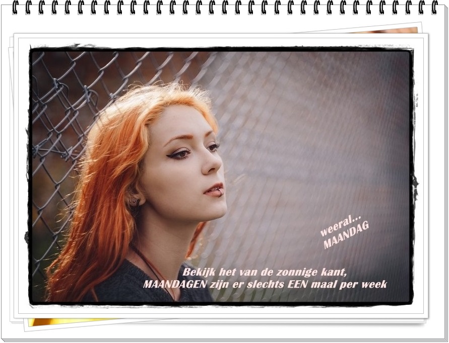 welkom opblog Bunic Jos