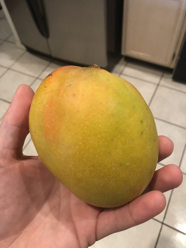 AEDECE50-79E1-4433-94DA-E216EA7CD9EE